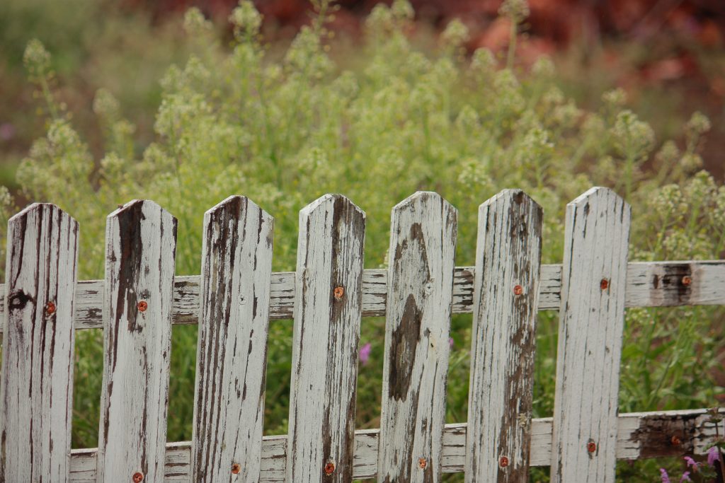 A picture of a fence with grass